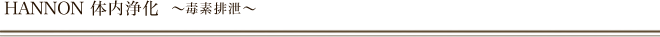 HANNON 体内浄化とは　～毒素排泄～